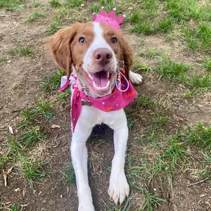 Fundraising Page: Katlyn Price